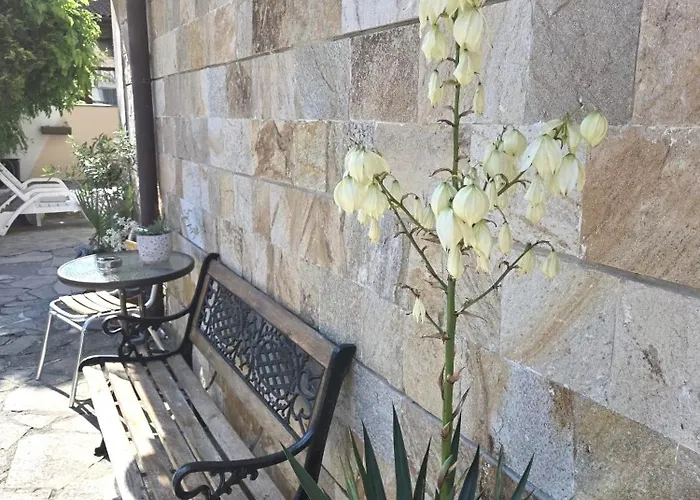 Family Primo Hotel Primorsko