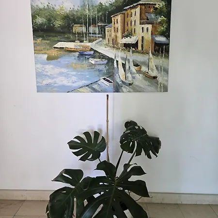 семеен примо